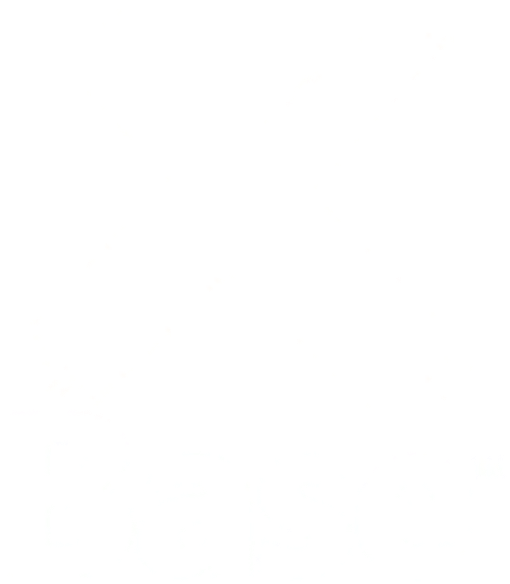 Client Logo 4